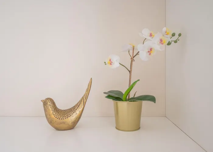 Portotile By Rdc * Porto