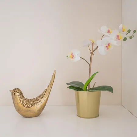 Portotile By Rdc * ポルト